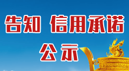 告知信用承诺公示