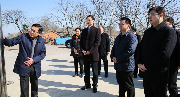 区领导调研洪泽湖沿岸环境整治等工作