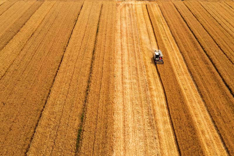 DJI_0387.jpg