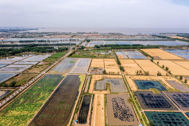 DJI_0372.jpg