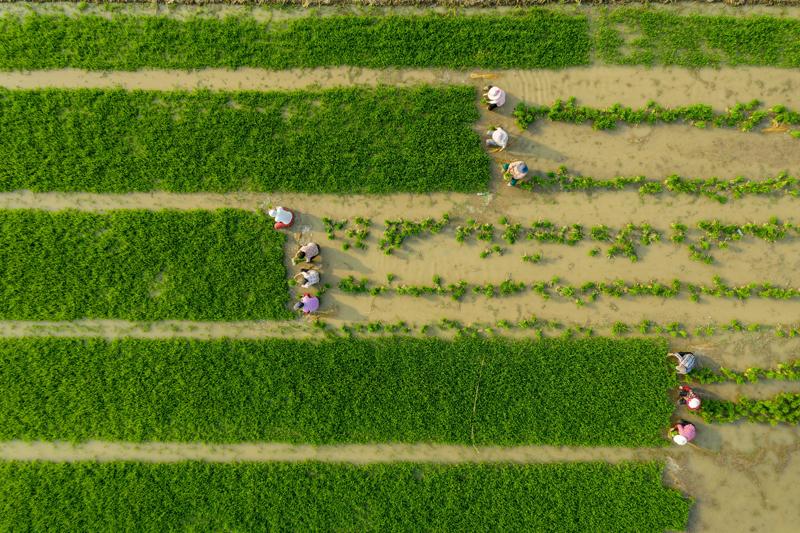 DJI_0492.jpg