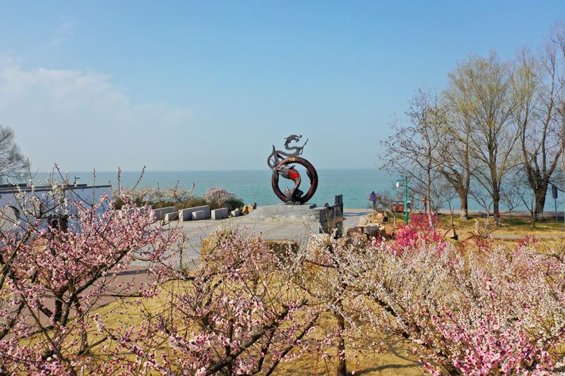 DJI_0098(1).jpg