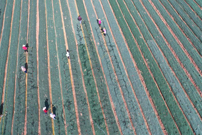 DJI_0875.jpg