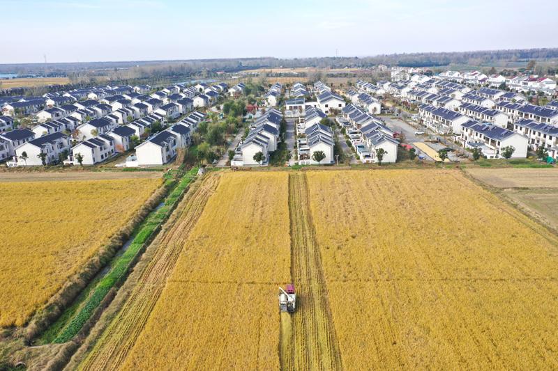 DJI_0716.jpg