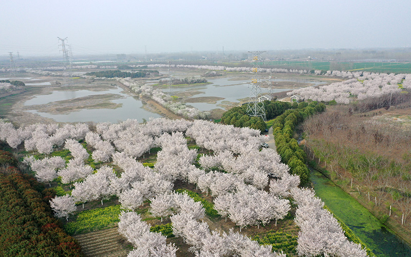 121DJI_0013.jpg